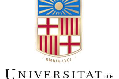 Logo Universidad de Barcelona (UB)