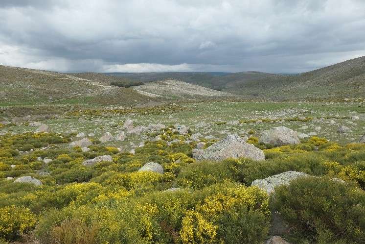 Imagen de bloques morrénicos en el Alto Gredos.