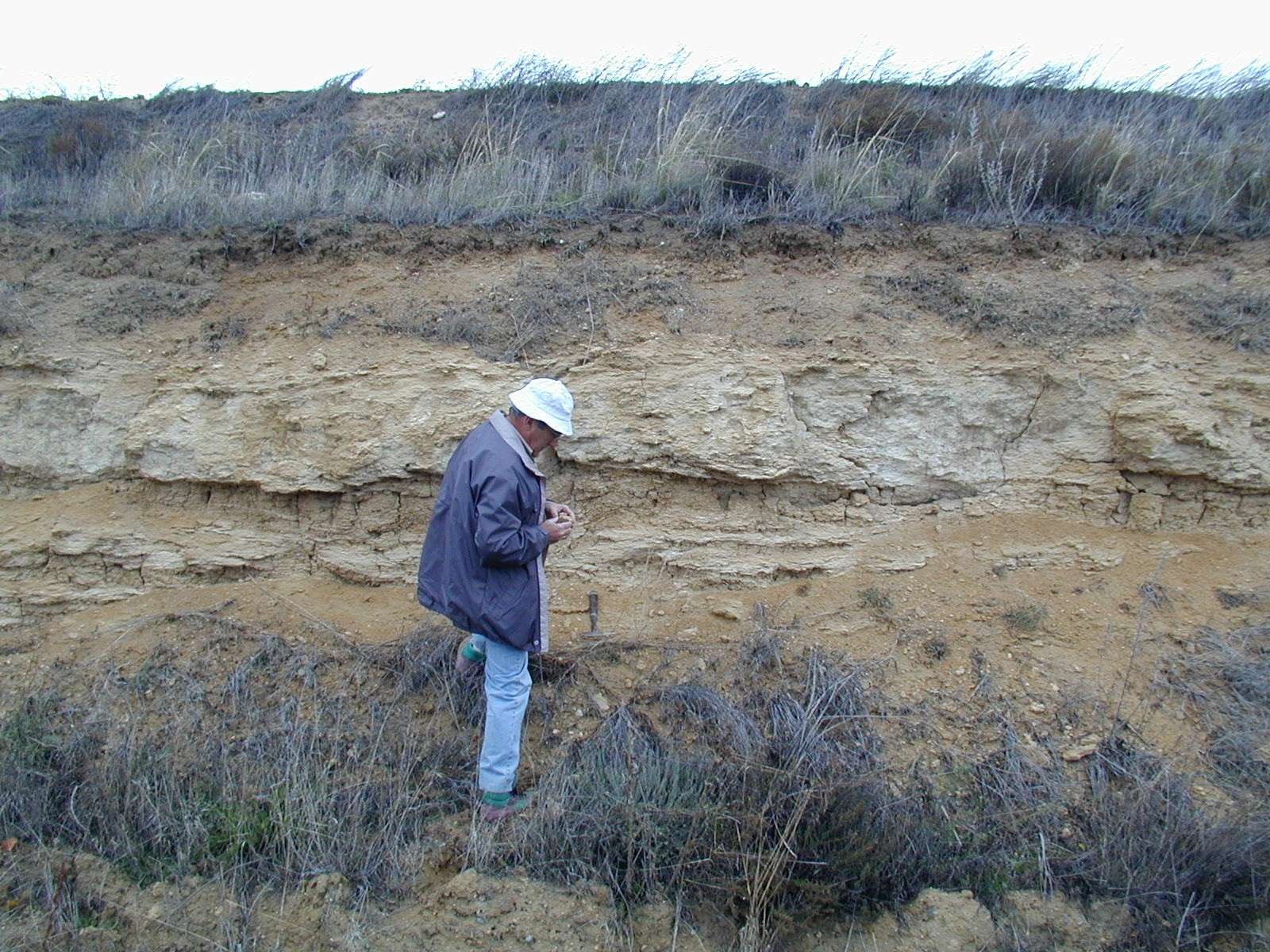 Imagen de investigador estudiando el perfil de un corte sedimentario.