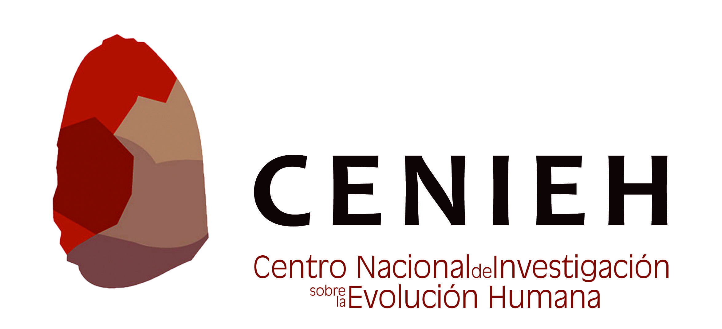 Logotipo del Centro Nacional de Investigación sobre la Evolución Humana (CENIEH)