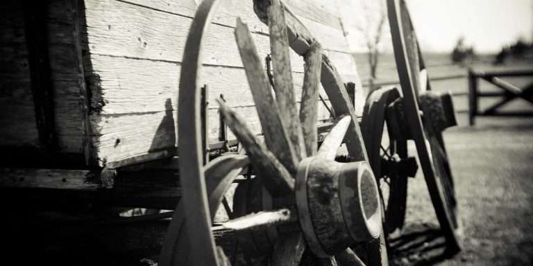 Technical Support Unit for the Scientific Vice-Directorate