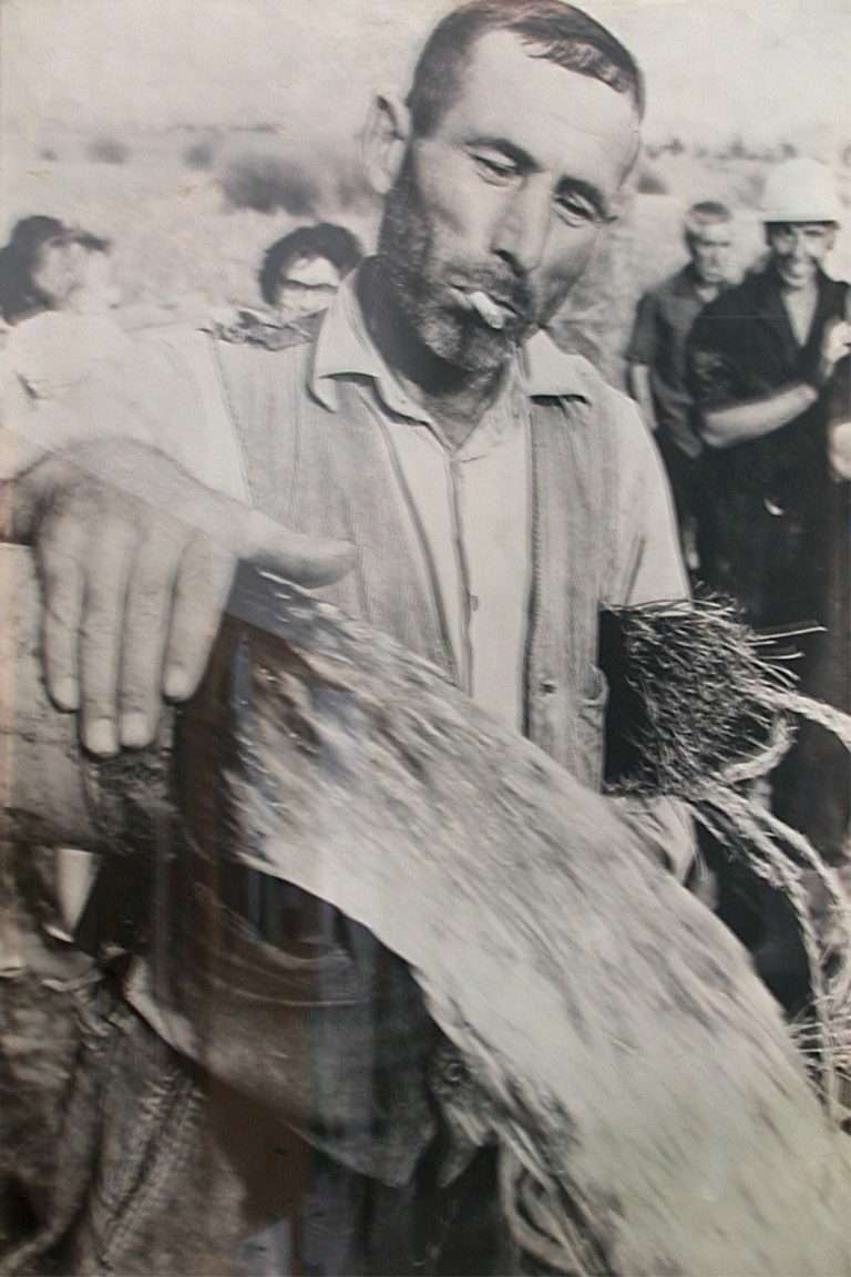 Valor del agua en las zonas deserticas o subdeserticas de la provincia de Almería