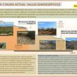 Ruta geológica | Flora y fauna actual: valles semidesérticos