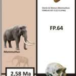 Ruta geológica | Magneto-estratigrafía 5.2