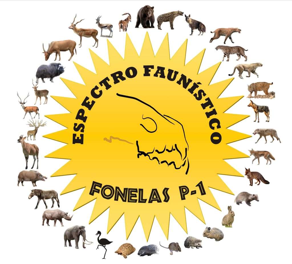Espectro de diversidad faunistica localizado por el momento en Fonelas P-1.