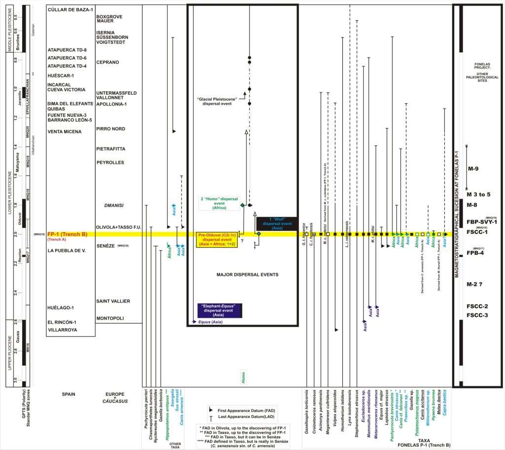 Síntesis de la información bioestratigráfica de Fonelas P-1