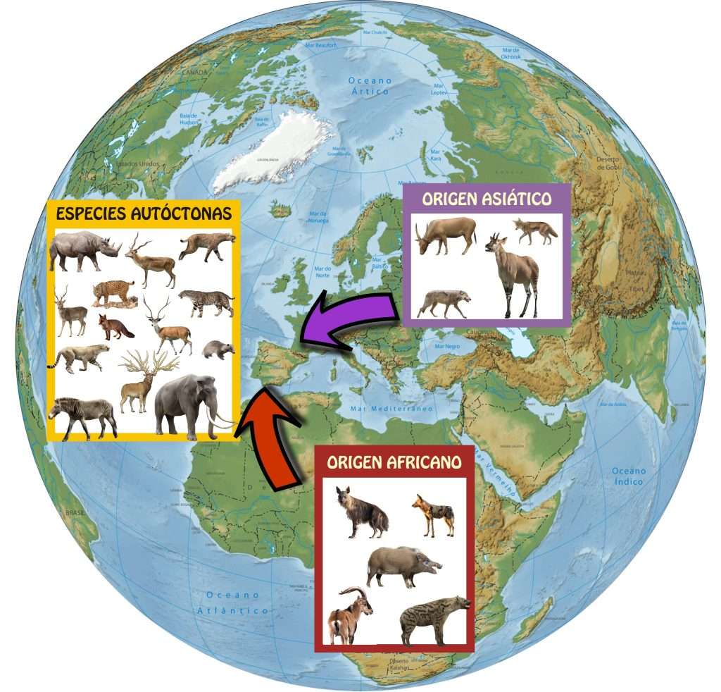 Orígenes más probables de los taxones de grandes mamíferos recuperados en Fonelas P-1