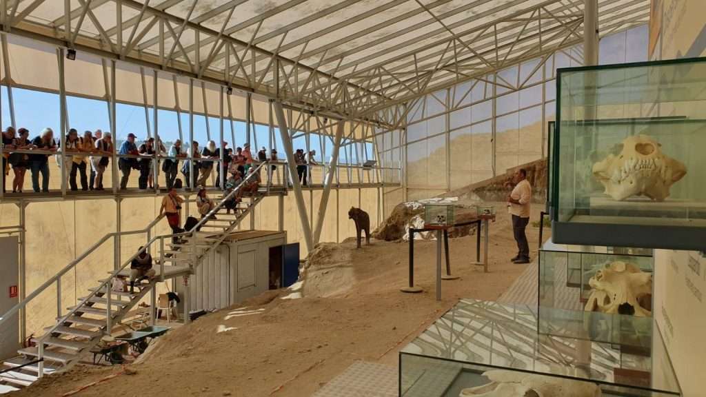 Visitas a la Estación Paleontológica Valle del río Fardes en Fonelas