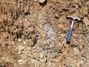 Vertical folds in the Conquista shear zone