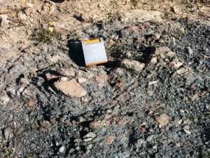 Conglomerados de Berlanga