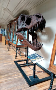 Otras colecciones y piezas destacadas